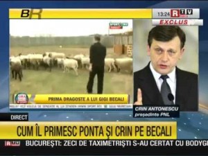 Crin Antonescu despre Gigi Becali 14.10.2012